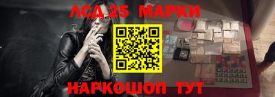 гашик Донской