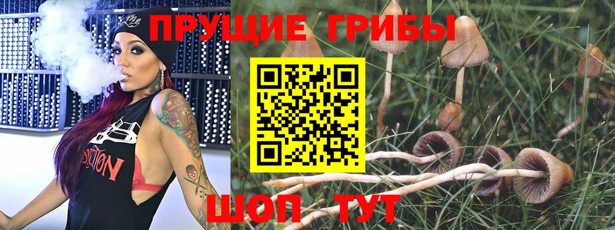 Псилоцибиновые грибы Psilocybine cubensis  закладки  Междуреченск 